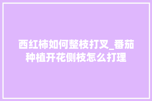 西红柿如何整枝打叉_番茄种植开花侧枝怎么打理 西红柿如何整枝打叉_番茄种植开花侧枝怎么打理 植物种类