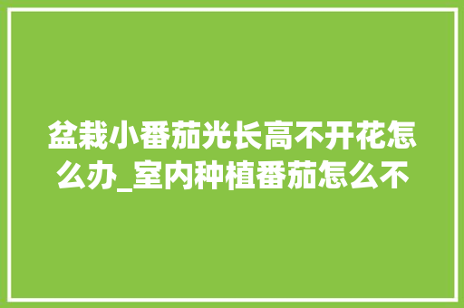 盆栽小番茄光长高不开花怎么办_室内种植番茄怎么不开花呢 花朵知识 盆栽小番茄光长高不开花怎么办_室内种植番茄怎么不开花呢 盆栽小番茄光长高不开花怎么办_室内种植番茄怎么不开花呢 花朵知识