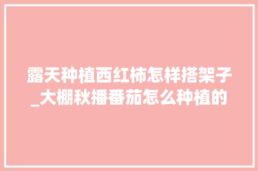 露天种植西红柿怎样搭架子_大棚秋播番茄怎么种植的视频 露天种植西红柿怎样搭架子_大棚秋播番茄怎么种植的视频 种植技巧
