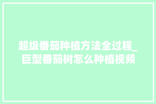 超级番茄种植方法全过程_巨型番茄树怎么种植视频 超级番茄种植方法全过程_巨型番茄树怎么种植视频 植物种类