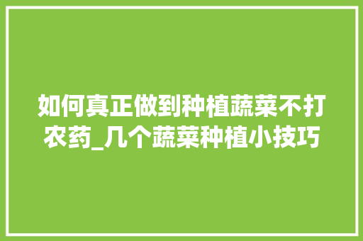如何真正做到种植蔬菜不打农药_几个蔬菜种植小技巧视频大全 番茄病虫害防治 如何真正做到种植蔬菜不打农药_几个蔬菜种植小技巧视频大全 如何真正做到种植蔬菜不打农药_几个蔬菜种植小技巧视频大全 番茄病虫害防治