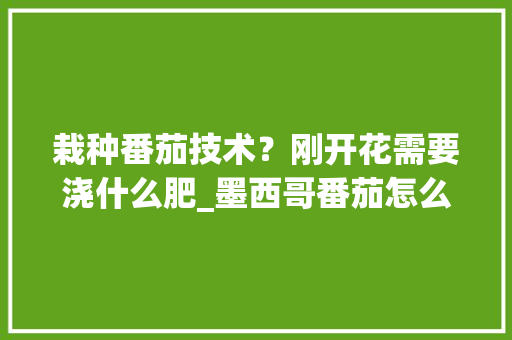 栽种番茄技术？刚开花需要浇什么肥_墨西哥番茄怎么种植的 栽种番茄技术？刚开花需要浇什么肥_墨西哥番茄怎么种植的 土壤施肥