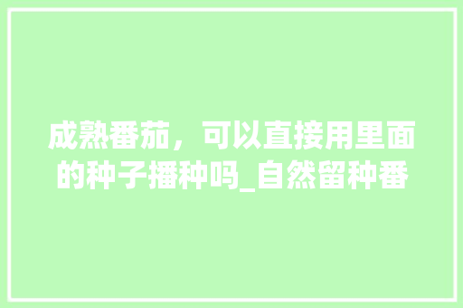 成熟番茄，可以直接用里面的种子播种吗_自然留种番茄怎么种植视频