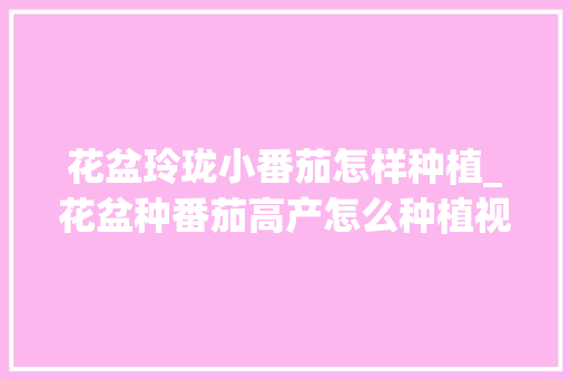 花盆玲珑小番茄怎样种植_花盆种番茄高产怎么种植视频 花盆玲珑小番茄怎样种植_花盆种番茄高产怎么种植视频 种植技巧