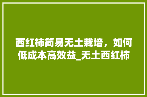西红柿简易无土栽培，如何低成本高效益_无土西红柿栽培技术 西红柿简易无土栽培，如何低成本高效益_无土西红柿栽培技术 农业常识