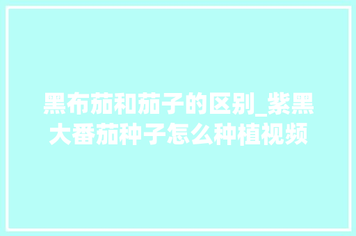 黑布茄和茄子的区别_紫黑大番茄种子怎么种植视频 黑布茄和茄子的区别_紫黑大番茄种子怎么种植视频 土壤施肥