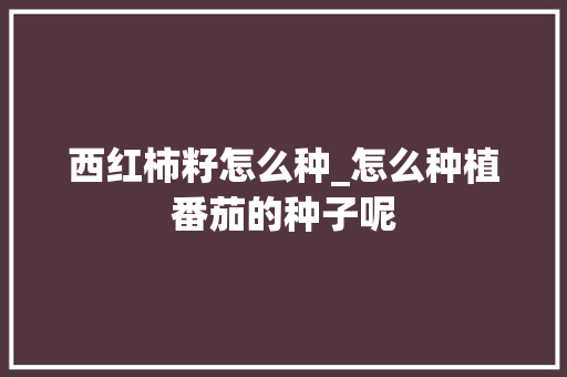 西红柿籽怎么种_怎么种植番茄的种子呢 西红柿籽怎么种_怎么种植番茄的种子呢 植物种类