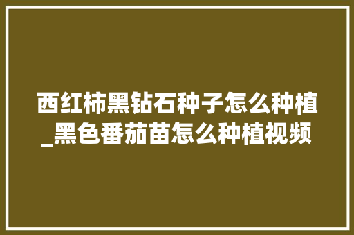 西红柿黑钻石种子怎么种植_黑色番茄苗怎么种植视频 西红柿黑钻石种子怎么种植_黑色番茄苗怎么种植视频 植物种类