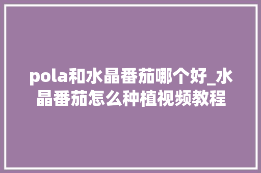 pola和水晶番茄哪个好_水晶番茄怎么种植视频教程
