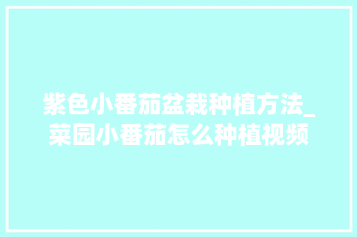 紫色小番茄盆栽种植方法_菜园小番茄怎么种植视频 紫色小番茄盆栽种植方法_菜园小番茄怎么种植视频 番茄病虫害防治