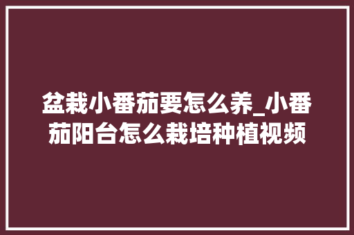 盆栽小番茄要怎么养_小番茄阳台怎么栽培种植视频 盆栽小番茄要怎么养_小番茄阳台怎么栽培种植视频 番茄种植技巧