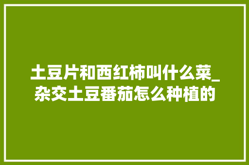 土豆片和西红柿叫什么菜_杂交土豆番茄怎么种植的