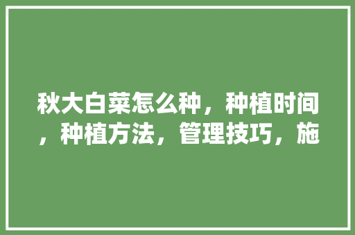 秋大白菜怎么种，种植时间，种植方法，管理技巧，施肥_秋番茄怎么种植方法 秋大白菜怎么种，种植时间，种植方法，管理技巧，施肥_秋番茄怎么种植方法 番茄病虫害防治