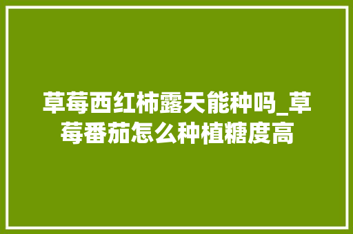 草莓西红柿露天能种吗_草莓番茄怎么种植糖度高 草莓西红柿露天能种吗_草莓番茄怎么种植糖度高 番茄病虫害防治