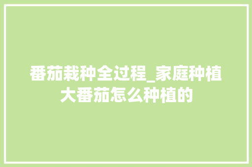 番茄栽种全过程_家庭种植大番茄怎么种植的 番茄栽种全过程_家庭种植大番茄怎么种植的 花朵知识