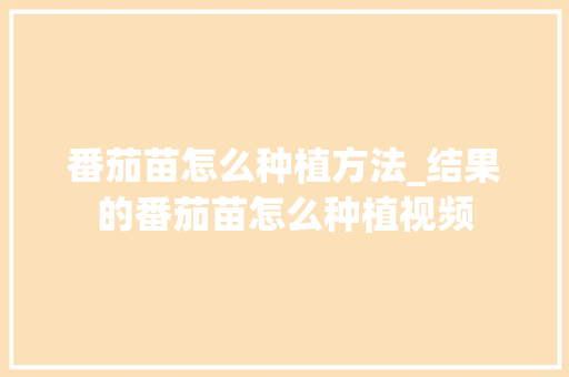 番茄苗怎么种植方法_结果的番茄苗怎么种植视频 番茄苗怎么种植方法_结果的番茄苗怎么种植视频 番茄种植技巧
