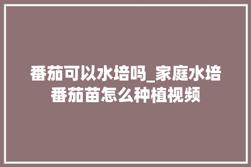 番茄可以水培吗_家庭水培番茄苗怎么种植视频 番茄可以水培吗_家庭水培番茄苗怎么种植视频 种植技巧
