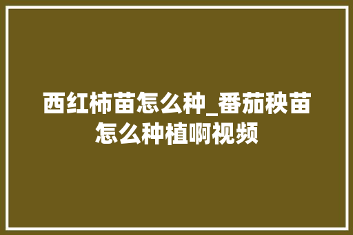 西红柿苗怎么种_番茄秧苗怎么种植啊视频