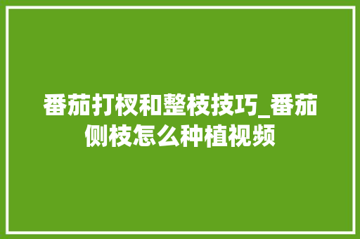 番茄打杈和整枝技巧_番茄侧枝怎么种植视频 番茄打杈和整枝技巧_番茄侧枝怎么种植视频 番茄病虫害防治