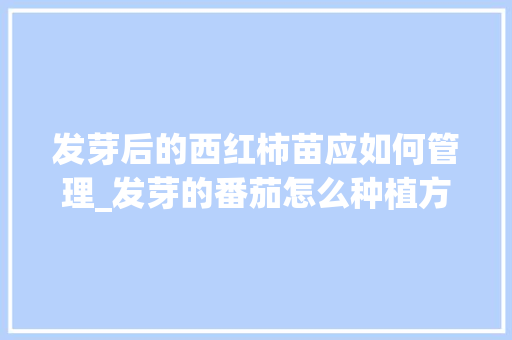 发芽后的西红柿苗应如何管理_发芽的番茄怎么种植方法视频