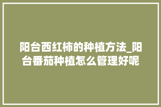 阳台西红柿的种植方法_阳台番茄种植怎么管理好呢