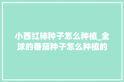 小西红柿种子怎么种植_全球的番茄种子怎么种植的 小西红柿种子怎么种植_全球的番茄种子怎么种植的 花朵知识