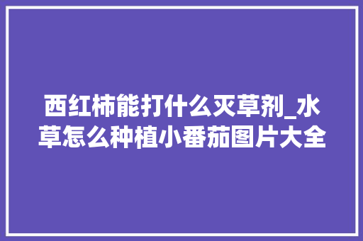 西红柿能打什么灭草剂_水草怎么种植小番茄图片大全 西红柿能打什么灭草剂_水草怎么种植小番茄图片大全 番茄种植技巧