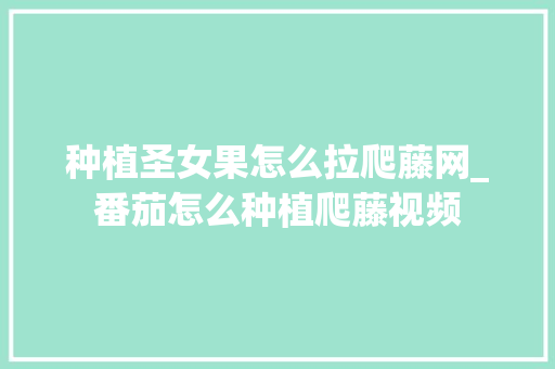 种植圣女果怎么拉爬藤网_番茄怎么种植爬藤视频