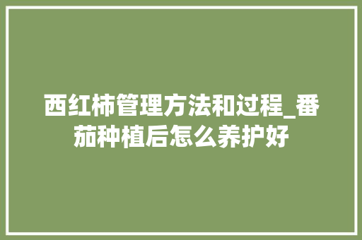 西红柿管理方法和过程_番茄种植后怎么养护好