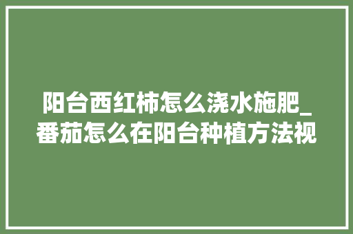 阳台西红柿怎么浇水施肥_番茄怎么在阳台种植方法视频 阳台西红柿怎么浇水施肥_番茄怎么在阳台种植方法视频 土壤施肥