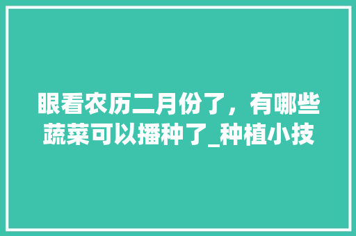 眼看农历二月份了，有哪些蔬菜可以播种了_种植小技巧蔬菜种子图片 眼看农历二月份了，有哪些蔬菜可以播种了_种植小技巧蔬菜种子图片 番茄病虫害防治