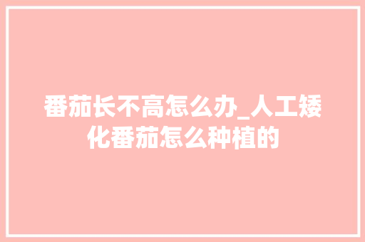 番茄长不高怎么办_人工矮化番茄怎么种植的 番茄长不高怎么办_人工矮化番茄怎么种植的 植物种类