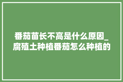 番茄苗长不高是什么原因_腐殖土种植番茄怎么种植的 番茄苗长不高是什么原因_腐殖土种植番茄怎么种植的 种植技巧