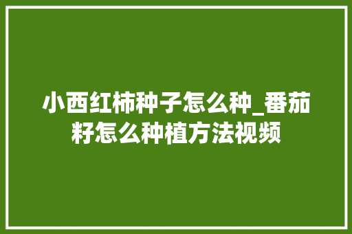小西红柿种子怎么种_番茄籽怎么种植方法视频 小西红柿种子怎么种_番茄籽怎么种植方法视频 土壤施肥