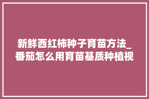 新鲜西红柿种子育苗方法_番茄怎么用育苗基质种植视频 新鲜西红柿种子育苗方法_番茄怎么用育苗基质种植视频 农业常识