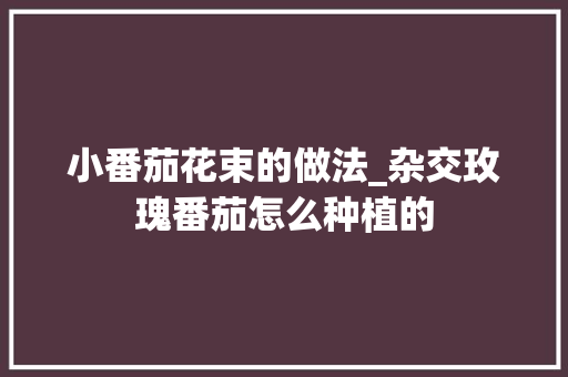 小番茄花束的做法_杂交玫瑰番茄怎么种植的