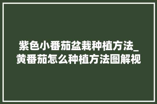 紫色小番茄盆栽种植方法_黄番茄怎么种植方法图解视频 农业常识 紫色小番茄盆栽种植方法_黄番茄怎么种植方法图解视频 紫色小番茄盆栽种植方法_黄番茄怎么种植方法图解视频 农业常识