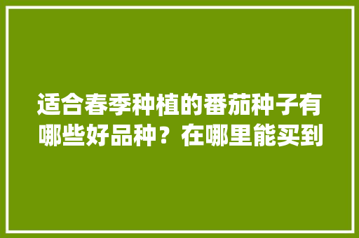 适合春季种植的番茄种子有哪些好品种？在哪里能买到_红皮小番茄种子怎么种植视频 适合春季种植的番茄种子有哪些好品种？在哪里能买到_红皮小番茄种子怎么种植视频 番茄种植技巧