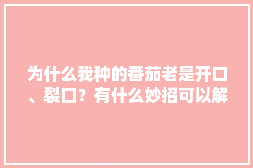 为什么我种的番茄老是开口、裂口？有什么妙招可以解决_种植番茄怎么总要开裂呢