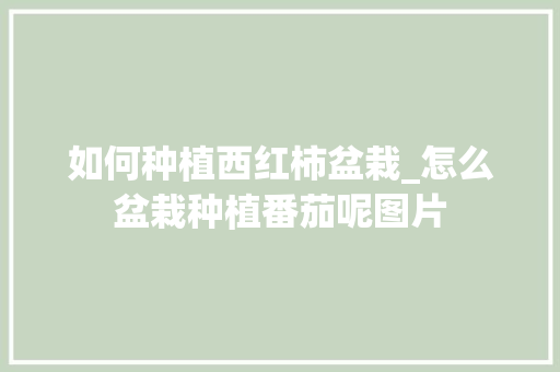 如何种植西红柿盆栽_怎么盆栽种植番茄呢图片 如何种植西红柿盆栽_怎么盆栽种植番茄呢图片 植物种类