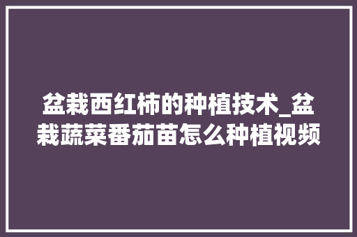 盆栽西红柿的种植技术_盆栽蔬菜番茄苗怎么种植视频 盆栽西红柿的种植技术_盆栽蔬菜番茄苗怎么种植视频 花朵知识