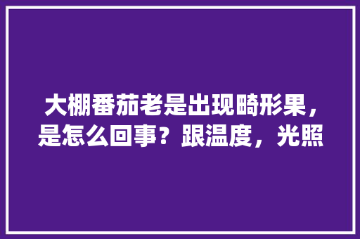 大棚番茄老是出现畸形果，是怎么回事？跟温度，光照有关吗_番茄畸形果怎么种植视频