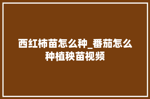 西红柿苗怎么种_番茄怎么种植秧苗视频