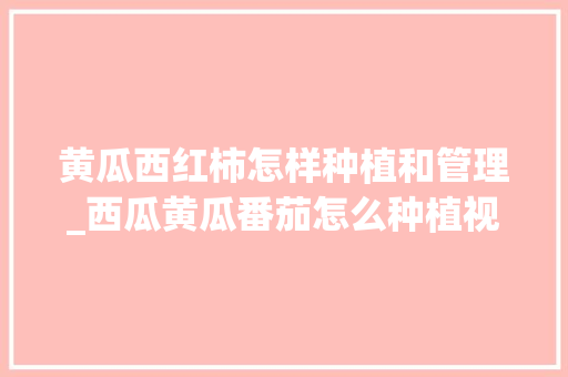 黄瓜西红柿怎样种植和管理_西瓜黄瓜番茄怎么种植视频 黄瓜西红柿怎样种植和管理_西瓜黄瓜番茄怎么种植视频 植物种类