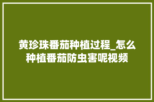 黄珍珠番茄种植过程_怎么种植番茄防虫害呢视频 黄珍珠番茄种植过程_怎么种植番茄防虫害呢视频 种植技巧