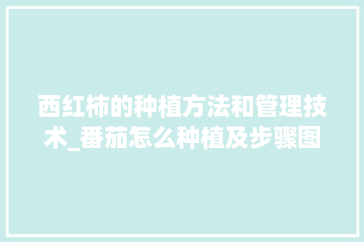 西红柿的种植方法和管理技术_番茄怎么种植及步骤图 西红柿的种植方法和管理技术_番茄怎么种植及步骤图 番茄病虫害防治