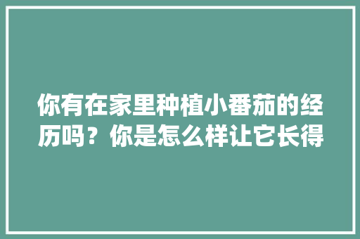 你有在家里种植小番茄的经历吗？你是怎么样让它长得更好的_番茄水果怎么种植的简单又好吃 你有在家里种植小番茄的经历吗？你是怎么样让它长得更好的_番茄水果怎么种植的简单又好吃 种植技巧