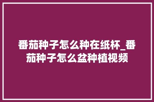 番茄种子怎么种在纸杯_番茄种子怎么盆种植视频