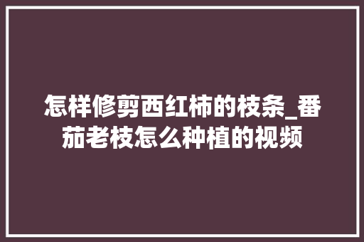 怎样修剪西红柿的枝条_番茄老枝怎么种植的视频 怎样修剪西红柿的枝条_番茄老枝怎么种植的视频 番茄种植技巧