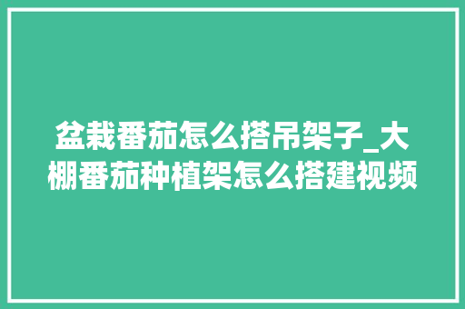盆栽番茄怎么搭吊架子_大棚番茄种植架怎么搭建视频